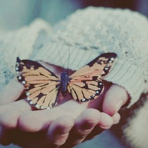 小黄书纯肉高H啪学生软件
