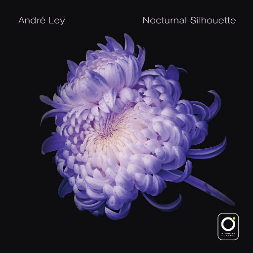 小黄书纯肉高H啪学生软件
